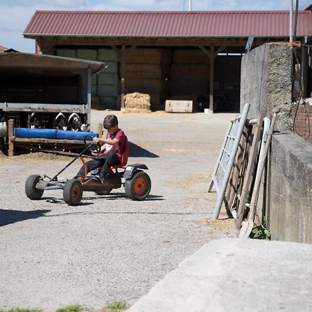 Friesenhof Janssen - Urlaub Auf Dem Bauernhof Lägenhet Neuharlingersiel Exteriör bild