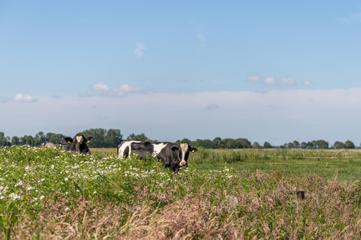 Friesenhof Janssen - Urlaub Auf Dem Bauernhof Lägenhet Neuharlingersiel Exteriör bild